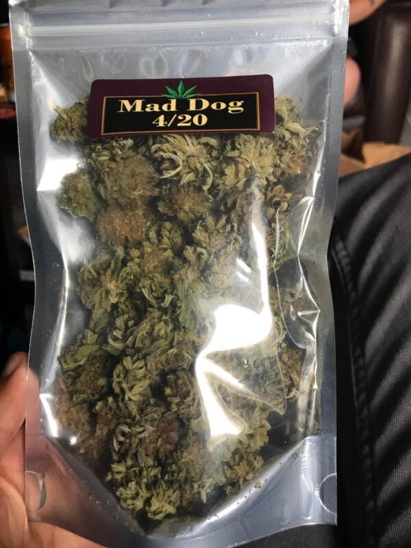 Sour Sherbert